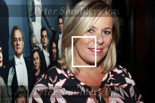 Amsterdam 11 augustus 2019
Premiere Downtown Abbey in pathe Tuschinski. Gallyon v Vessem kwam met Selma v Dijk en Jaco Peeringa