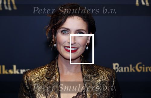 Utrecht 27 september 2019
Premiere Instinct tijdens de utrechtse filmdagen.
Halina Reijn deed de regie en Carice v Houten speelt de hoofdrol. Vivienne v d Assem