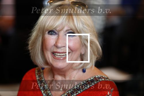 Amsterdam 12 september 2019
Boekpresentatie Anneke Gronloh in carre. Bart Peeters heeft het boek geschreven.
Willeke Alberti gaf Bart het eerste exemplaar