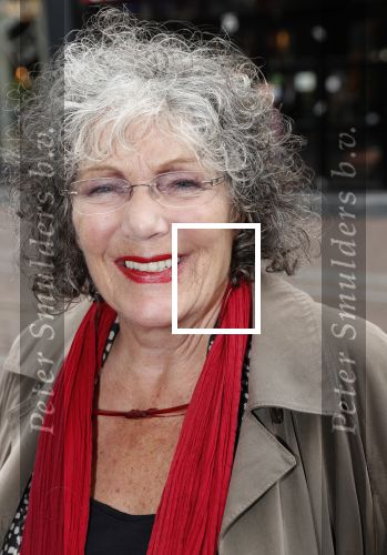 Amsterdam 11 augustus 2019
Premiere Downtown Abbey in pathe Tuschinski. Willeke v Ammelrooij