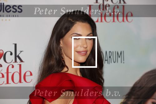 Amsterdam 30 september 2019
Premiere Fuck de liefde in Tuschinski. Yolanthe Sneijder Cabau
