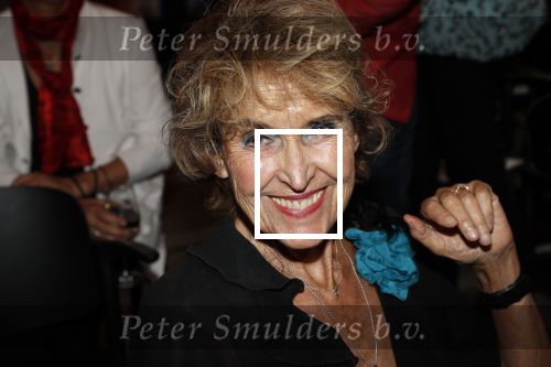 Amsterdam 12 september 2019
Boekpresentatie Anneke Gronloh in carre. Bart Peeters heeft het boek geschreven.
Yvonne Keuls