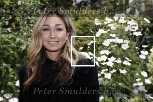 Amsterdam 10 september 2019
Presentatie celebaabs in hotel the Grand met oa Anouk Smulders Frits Sissing Dennis v d Geest Dennis Weening Dominique v Hulst ( zangeres Do) en  Irene moors . Celebabs is een idee van Tim Ouborg en Jeroen v d Boom