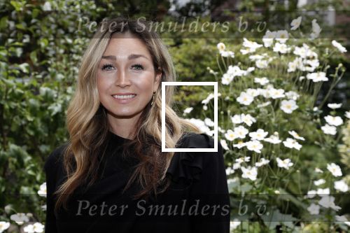 Amsterdam 10 september 2019
Presentatie celebaabs in hotel the Grand met oa Anouk Smulders Frits Sissing Dennis v d Geest Dennis Weening Dominique v Hulst ( zangeres Do) en  Irene moors . Celebabs is een idee van Tim Ouborg en Jeroen v d Boom