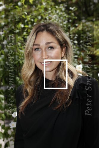 Amsterdam 10 september 2019
Presentatie celebaabs in hotel the Grand met oa Anouk Smulders Frits Sissing Dennis v d Geest Dennis Weening Dominique v Hulst ( zangeres Do) en  Irene moors . Celebabs is een idee van Tim Ouborg en Jeroen v d Boom