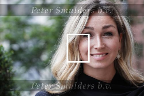 Amsterdam 10 september 2019
Presentatie celebaabs in hotel the Grand met oa Anouk Smulders Frits Sissing Dennis v d Geest Dennis Weening Dominique v Hulst ( zangeres Do) en  Irene moors . Celebabs is een idee van Tim Ouborg en Jeroen v d Boom