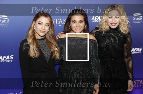 Scheveningen 22 september 2019
Premiere Anastasia in het afas Circustheater. 
OG3ne   oGene