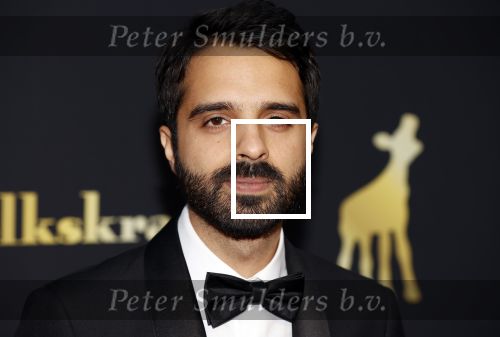 Utrecht 2 oktober 2020
Uitreiking gouden kalveren in de schouwburg van Utrecht. Ali Eslami