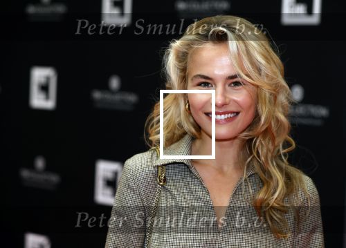 Amsterdam 5 oktober 2020
Bijeenkomst influencers inzake free a girl in hotel Krasnapolsky. Annekee Molenaar