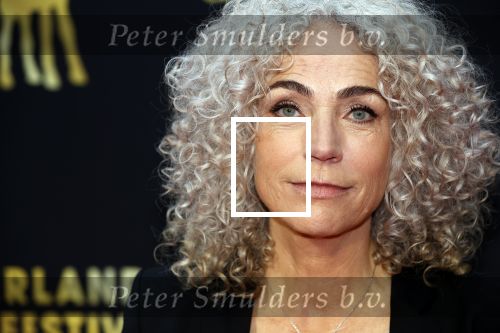 Utrecht 2 oktober 2020
Uitreiking gouden kalveren in de schouwburg van Utrecht. Antoinette Beumer