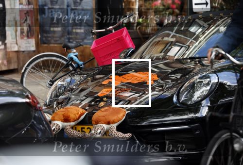Amsterdam 7 oktober 2020
Bas Smit rijdt in een porsche met schildpadden erop. Bas heeft mer dan 600k opgehaald voor het prinses Maxima centrum