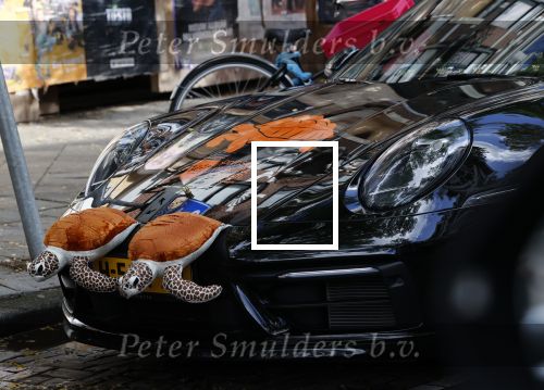 Amsterdam 7 oktober 2020
Bas Smit rijdt in een porsche met schildpadden erop. Bas heeft mer dan 600k opgehaald voor het prinses Maxima centrum