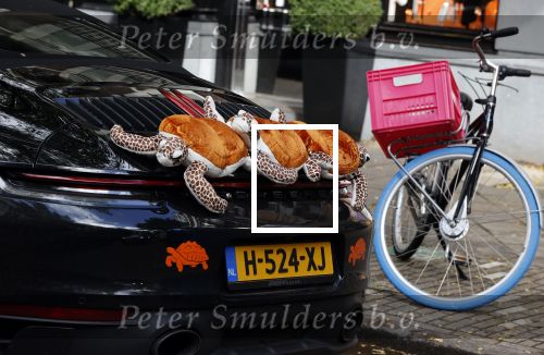 Amsterdam 7 oktober 2020
Bas Smit rijdt in een porsche met schildpadden erop. Bas heeft mer dan 600k opgehaald voor het prinses Maxima centrum