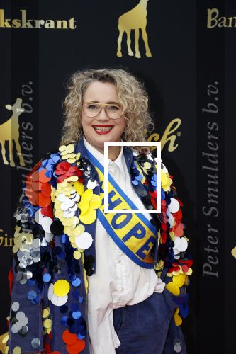 Utrecht 2 oktober 2020
Uitreiking gouden kalveren in de schouwburg van Utrecht. Bho Roosterman