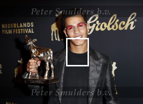 Utrecht 2 oktober 2020
Uitreiking gouden kalveren in de schouwburg van Utrecht.
Bilal Wahib