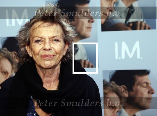 Utrecht 27 september 2020
Premiere I.M. tijdens filmdagen in Utrecht. Connie Palmen