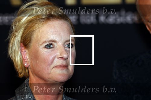 Noordwijk 16 oktober 2020
Boekpresentatie Martien Meiland in hotel Huis ter Duin .
Martien kwam met zijn vrouw Erica dochters Maxime en Montana.