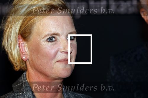 Noordwijk 16 oktober 2020
Boekpresentatie Martien Meiland in hotel Huis ter Duin .
Martien kwam met zijn vrouw Erica dochters Maxime en Montana.