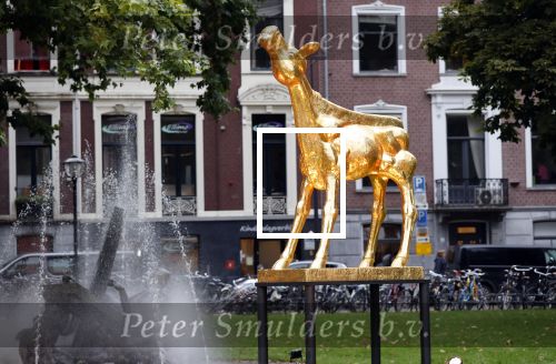 Utrecht 2 oktober 2020
Uitreiking gouden kalveren in de schouwburg van Utrecht.