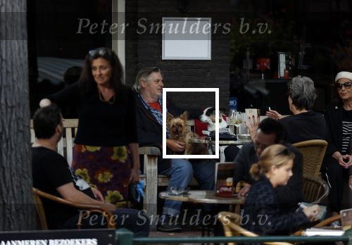 Amsterdam 29 september 2020
Hans v d Togt met vriendinnen en hondjes op terras
