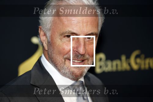 Utrecht 2 oktober 2020
Uitreiking gouden kalveren in de schouwburg van Utrecht. Huub Stapel