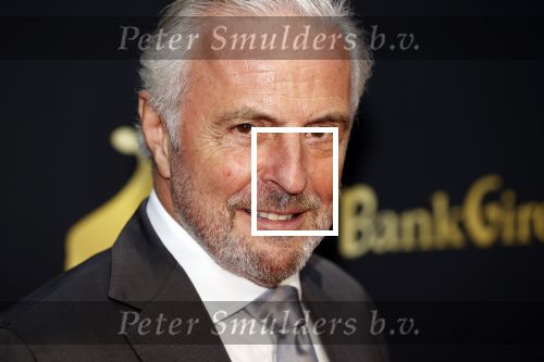 Utrecht 2 oktober 2020
Uitreiking gouden kalveren in de schouwburg van Utrecht. Huub Stapel