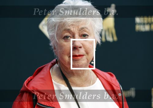 Utrecht 27 september 2020
Premiere I.M. tijdens filmdagen in Utrecht. Ingeborg Elzevier