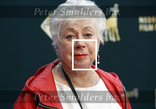 Utrecht 27 september 2020
Premiere I.M. tijdens filmdagen in Utrecht. Ingeborg Elzevier