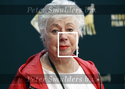 Utrecht 27 september 2020
Premiere I.M. tijdens filmdagen in Utrecht. Ingeborg Elzevier