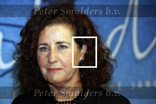 Utrecht 25 september 2020
Premiere Bulado tijdens de nederlandse filmdagen in Utrecht . 
Ingrid v Engelshoven