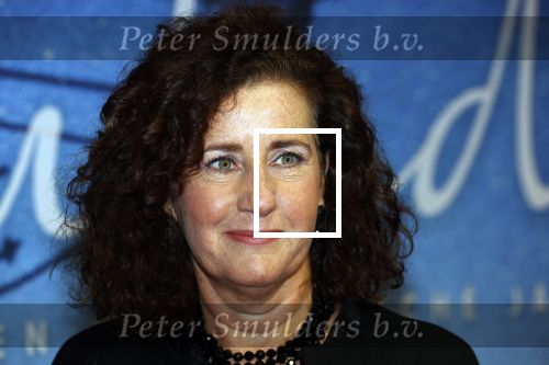 Utrecht 25 september 2020
Premiere Bulado tijdens de nederlandse filmdagen in Utrecht . 
Ingrid v Engelshoven