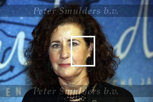 Utrecht 25 september 2020
Premiere Bulado tijdens de nederlandse filmdagen in Utrecht . 
Ingrid v Engelshoven