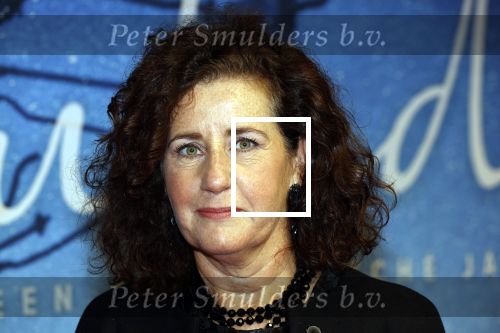 Utrecht 25 september 2020
Premiere Bulado tijdens de nederlandse filmdagen in Utrecht . 
Ingrid v Engelshoven