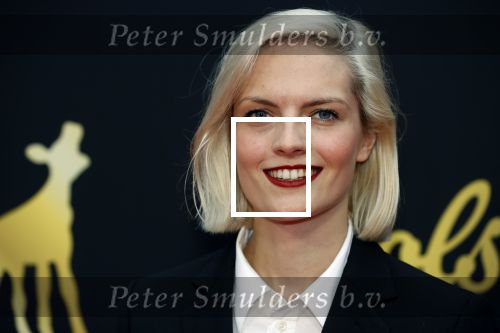 Utrecht 2 oktober 2020
Uitreiking gouden kalveren in de schouwburg van Utrecht. Iris van der Meule