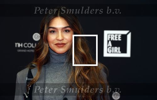 Amsterdam 5 oktober 2020
Bijeenkomst influencers inzake free a girl in hotel Krasnapolsky. Isaya Elais