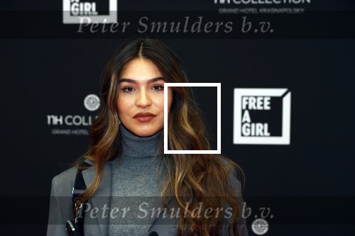 Amsterdam 5 oktober 2020
Bijeenkomst influencers inzake free a girl in hotel Krasnapolsky. Isaya Elais