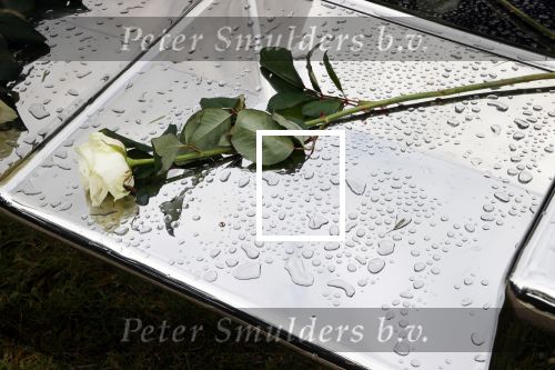Naarden 9 oktober 2020
Het graf van Jan des Bouvrie met duizenden witte rozen en de beroemde stoel die Jan ontworpen heeft .