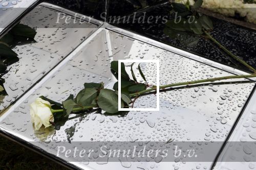 Naarden 9 oktober 2020
Het graf van Jan des Bouvrie met duizenden witte rozen en de beroemde stoel die Jan ontworpen heeft .