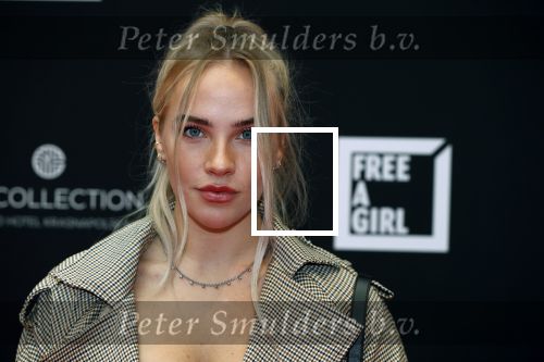 Amsterdam 5 oktober 2020
Bijeenkomst influencers inzake free a girl in hotel Krasnapolsky.