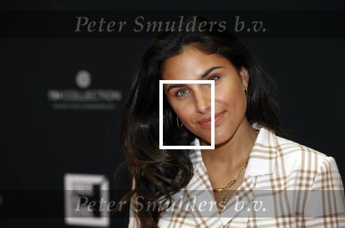 Amsterdam 5 oktober 2020
Bijeenkomst influencers inzake free a girl in hotel Krasnapolsky. Kae Sutherland