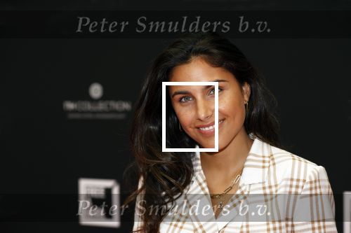 Amsterdam 5 oktober 2020
Bijeenkomst influencers inzake free a girl in hotel Krasnapolsky. Kae Sutherland