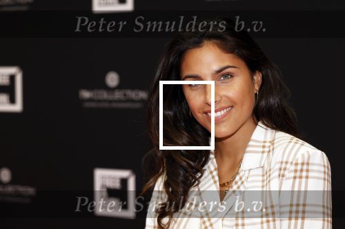 Amsterdam 5 oktober 2020
Bijeenkomst influencers inzake free a girl in hotel Krasnapolsky. Kae Sutherland