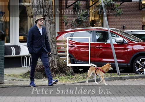 Amsterdam 7 oktober 2020
Mark Baanders met zijn hond in Amsterdam zuid. (Powned verslaggever)