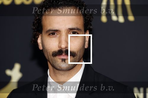 Marwan Kenzari