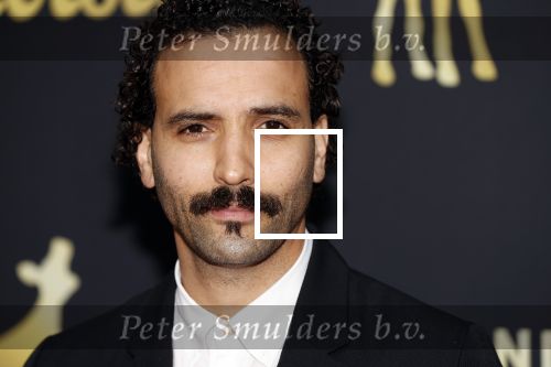 Marwan Kenzari