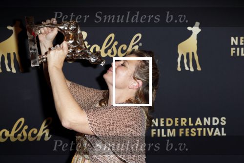 Utrecht 2 oktober 2020
Uitreiking gouden kalveren in de schouwburg van Utrecht. Mischa Kamp