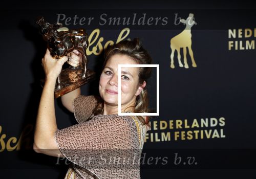 Utrecht 2 oktober 2020
Uitreiking gouden kalveren in de schouwburg van Utrecht. Mischa Kamp
