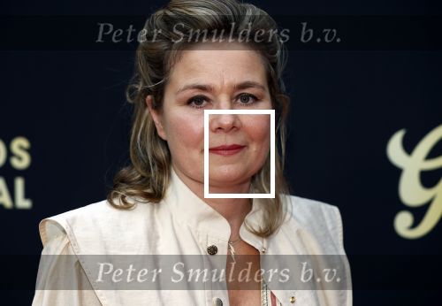 Utrecht 2 oktober 2020
Uitreiking gouden kalveren in de schouwburg van Utrecht. Mischa Kamp