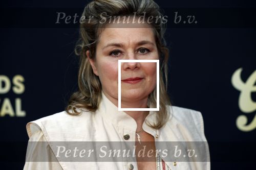 Utrecht 2 oktober 2020
Uitreiking gouden kalveren in de schouwburg van Utrecht. Mischa Kamp