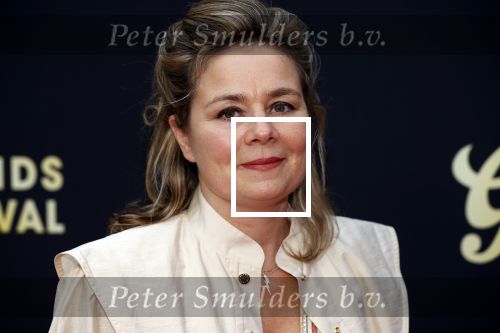 Utrecht 2 oktober 2020
Uitreiking gouden kalveren in de schouwburg van Utrecht. Mischa Kamp